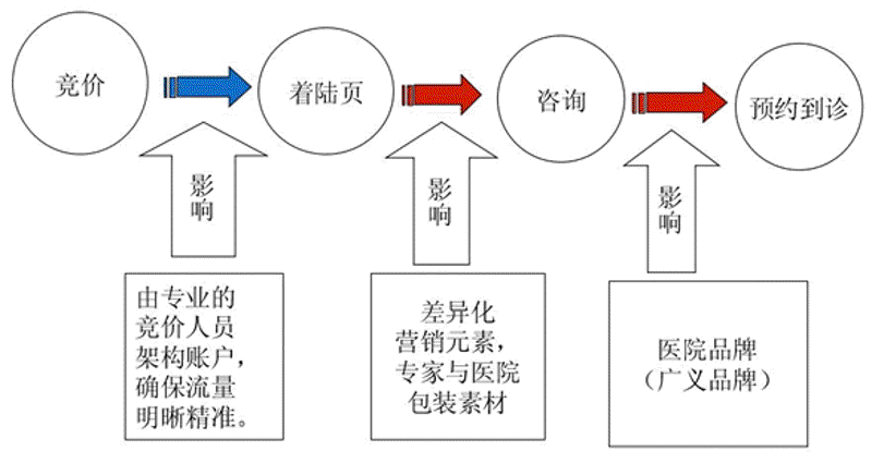 医美医院管理：寻找高效运行的秘籍